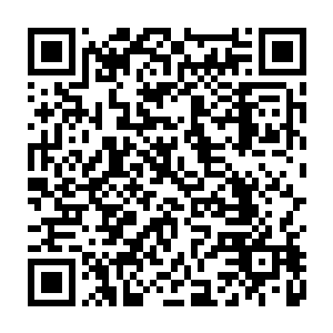 有的熊因为受不了活的胆汁供应机器而自己把自己的肚子和胸膛抓烂了自杀二维码生成