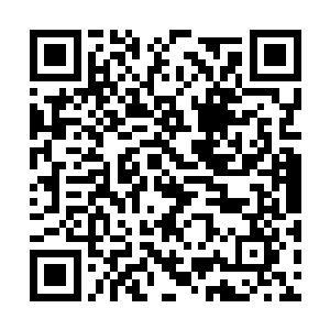 有的细菌通过转换铁化合物和硫来保持生命的延续二维码生成