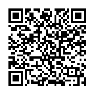 有着一个身着金色铠甲的人形生灵和龙华皇子在交手二维码生成