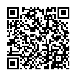 有着透明羽翼的服务员笑嘻嘻的抓起他们的行李二维码生成