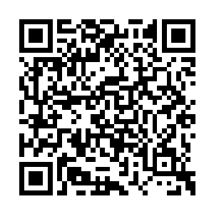 有着那大量的水妖血食和八名妖王牵制住黑鳖精二维码生成