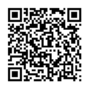 有穿着红制服裙黑丝袜美丽性感的空姐跟在身边服务二维码生成