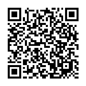 有能力招兵买马留下这么多金银财宝的总有几个可供选择的人吧二维码生成