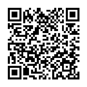 有能耐你们东部宗门的弟子也把我们上元盟的弟子打残二维码生成