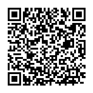 有荣光的中国国家队打进2010年的南非世界杯也不是什么遥不可及的梦二维码生成