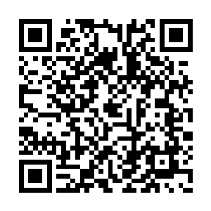 有角人在东大陆的势力也就给我们拔除得差不多二维码生成