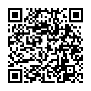 有超过百分之六十都是在奥斯卡提名之后获得的二维码生成