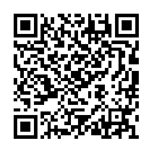 有这等轻功的人整个南耀国上下也找不出几个来二维码生成