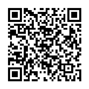 有韵律质地材料构造出的一方山脉坐落在命河中央二维码生成