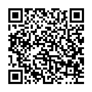 有龙驹体重的加持在这强风中倒也能起几分秤砣稳住身形的作用二维码生成