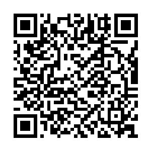 服下之后应该会让他们达到各自境界的后期巅峰二维码生成