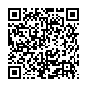 服用天魂融神丹将精神意念蜕变为神念之力的过程二维码生成