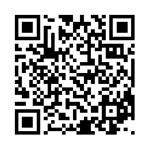 服用bleach基因药水增加的能量是不等的二维码生成