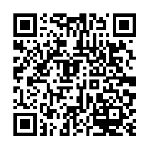 朔日……寒毒……难道是上一次季疏云掉进暗河的缘故二维码生成