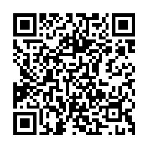 望向虚空之中的九条灰色的能量巨龙眼神之中充满了忌惮的神情二维码生成