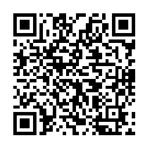 望向那恐怖的无天黑莲的目光之中也充满了浓浓的冷漠二维码生成