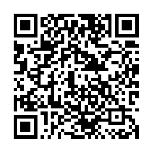 望向龙傲天两个人的目光中也是充满了戒备的神情二维码生成