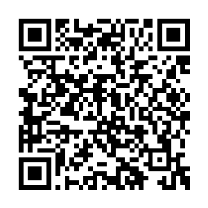 望向龙傲天的目光中也是充满了无比惊骇的目光二维码生成