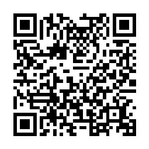 望向龙傲天的目光之中也充满了震惊和惊恐的神情二维码生成