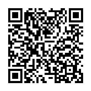 望向龙傲天的目光之中也是闪过了一丝好奇的神情二维码生成