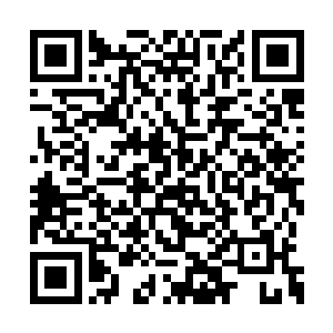 望向龙傲天的目光之中也露出了一抹善意的微笑二维码生成