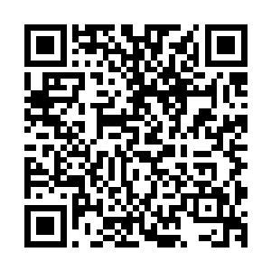 望着此时虚立在空中嘴角挂着鲜血的大圣主不屑地冷哼了一声二维码生成