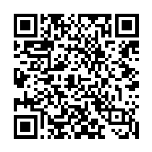 望着痛苦无比宛如受到致命伤害的河马混沌兽满脸愕然二维码生成