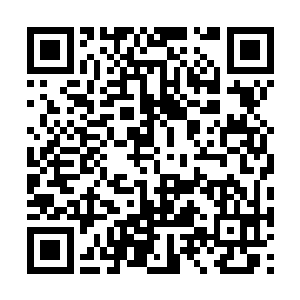 望着眼前的宫殿眼神之中也露出了一抹痴迷的表情二维码生成