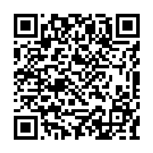 望着龙傲天的背影眼底也闪过了一抹怨毒的光芒二维码生成