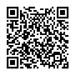 朝着一干准备直接进入太古魔藏的众人一拱手的道二维码生成