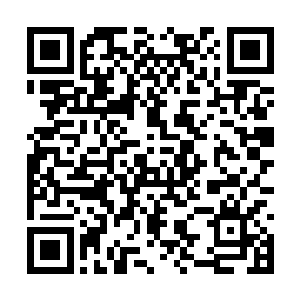 朝着化作了一道水纹波浪遁光的海族大汉追摄而去二维码生成