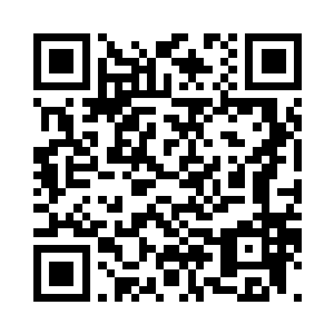 朝着那四百小型仙舟打出了一个手势二维码生成