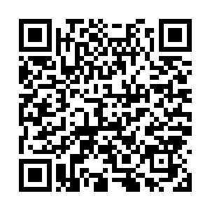 朝着黄泉山脉中心赶来的闻人修却突然停下了脚步二维码生成
