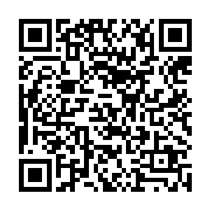 期待以及兴奋的光芒盯着手中这件正在飞快修复的神甲二维码生成