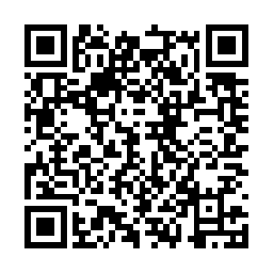 期间团队受到的任何元老会的惩罚或者是剥夺权利二维码生成