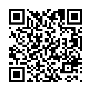 木元祖树一般百年形成一枚木元晶石二维码生成