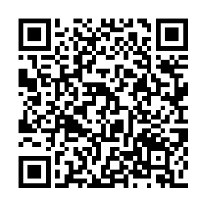 木武和长八两人在这样的情况下也没有自乱阵脚二维码生成