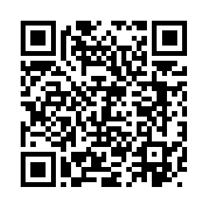 木精灵似乎重新拾起了第二纪的部分荣光二维码生成