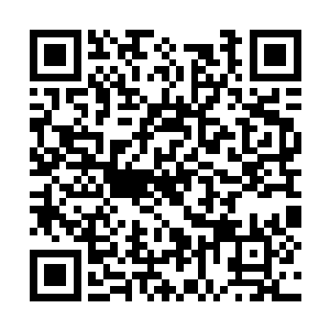 木萦只是站在她的身边便感受到一种火焰般的热力二维码生成