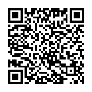 木萦因为在青苏山昏迷时曾经服了那枚不知名的丹药二维码生成