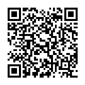 木萦是以池宇有事需要向掌门禀报这个理由面见掌门的二维码生成