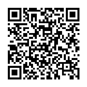 木萦根本就不知道眼前这个虚弱的小东西居然会是神兽二维码生成