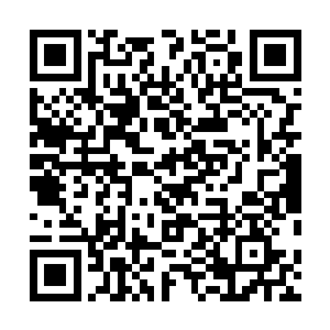 木萦正对着的就是她隐含伤痛可是又有些云淡风轻的脸庞二维码生成