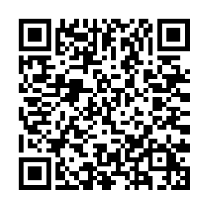 木萦现在也一直在往那头十一阶妖兽所在的地方赶去二维码生成