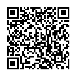 木萦看着那个叫致衡的少年对着自己横眉怒对的模样二维码生成