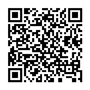 木萦谢过小猴子后就把藏到自己怀中的可怜小鸟拿了出来二维码生成