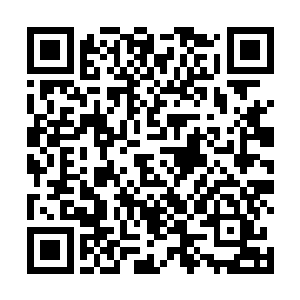 未尝也没有看看她能否有资格进入刺客联盟高层的法眼二维码生成