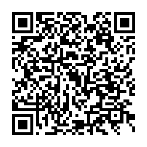 未未现在可是有了孩子要不是反应大这次贝海也就带着她一起来了二维码生成