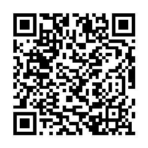 未来三世冰莲和未来苍穹之花快速的融合了起来二维码生成