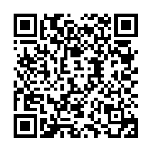 未来咱们的目标就是要把咱们清河村的特产卖到省外去二维码生成